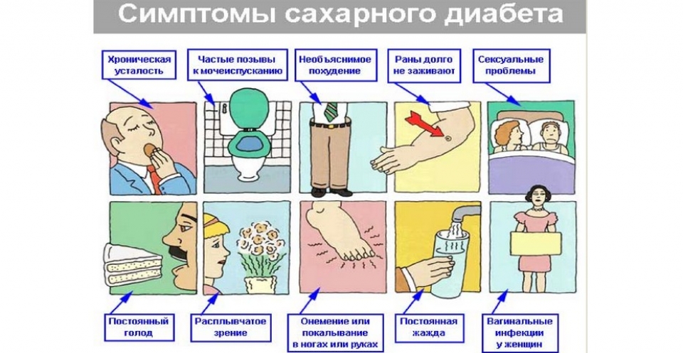 Сахарный диабет – одно из самых распространённых заболеваний человека