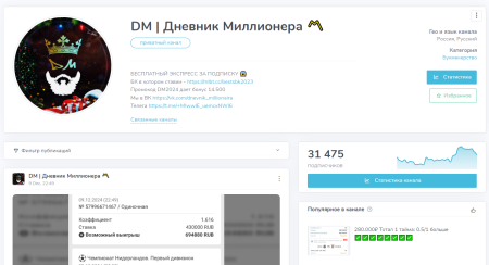 тг-канал DM Дневник Миллионера